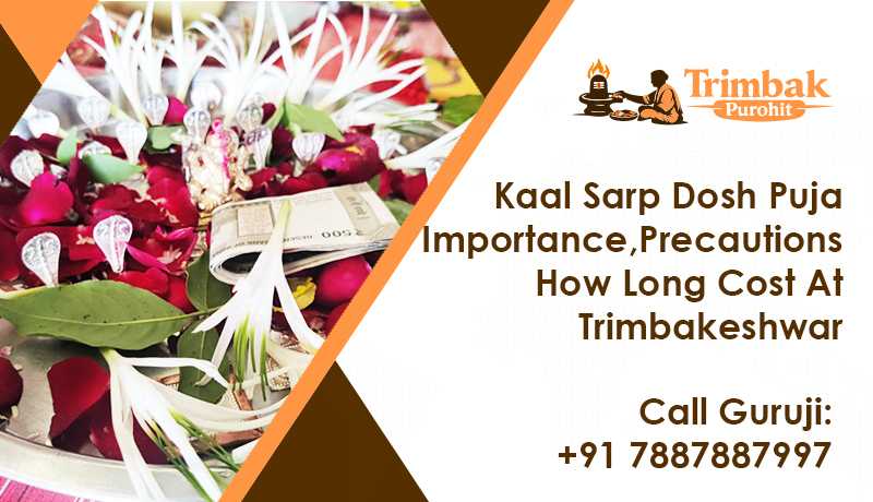 Kaal Sarp Dosh Puja Importance, Precautions, How Long, Cost At Trimbakeshwar