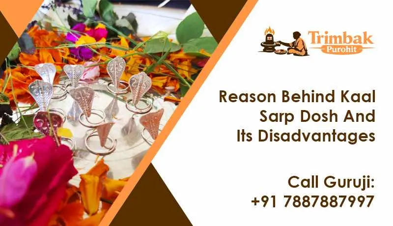Reason Behind Kaal Sarp Dosh And Its Disadvantages