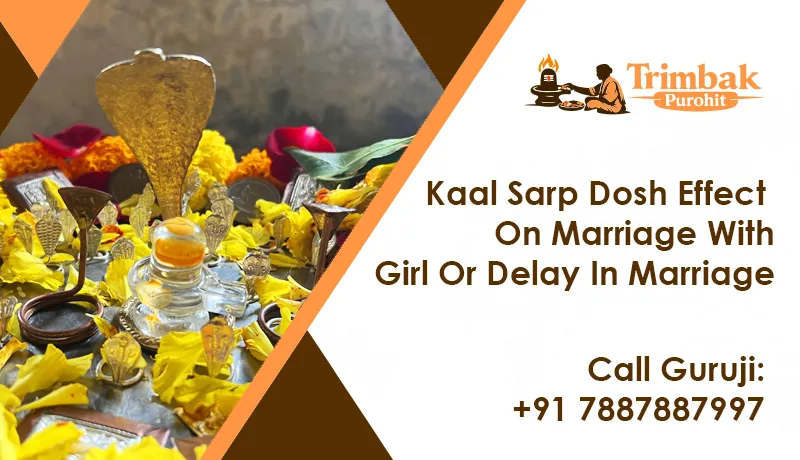 Kaal Sarp Dosh Effect On Marriage With Girl Or Delay In Marriage