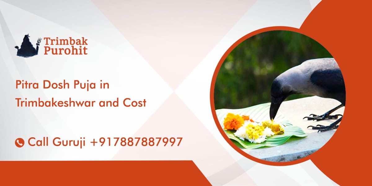 Pitra Dosh Puja in Trimbakeshwar and Cost