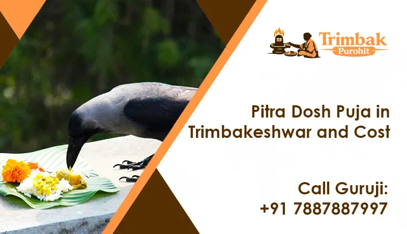 Pitra Dosh Puja in Trimbakeshwar and Cost
