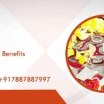 Kaal Sarp Puja Benefits