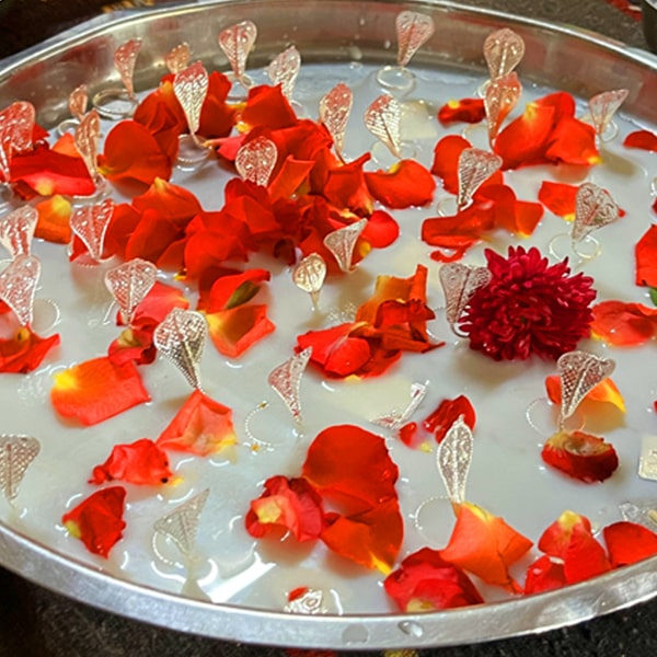 Kaal Sarp Dosh Puja Pandit in Trimbakeshwar