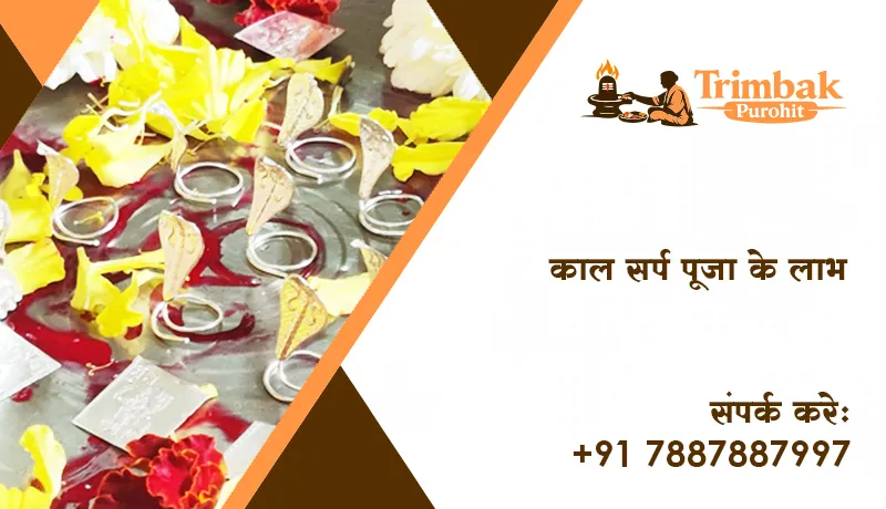 काल सर्प पूजा के लाभ