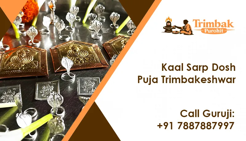 Kaal Sarp Dosh Puja Trimbakeshwar