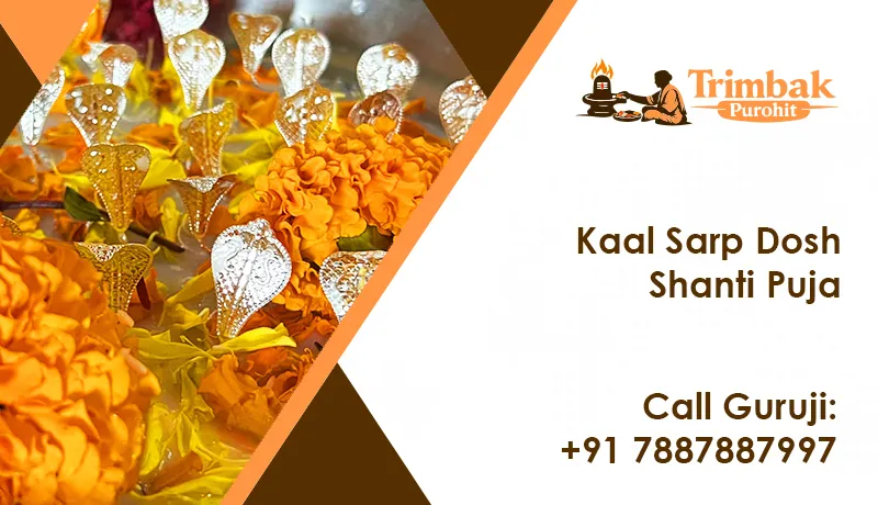 Kaal Sarp Dosh Shanti Puja