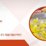 कालसर्प दोष पूजा नासिक महाराष्ट्र