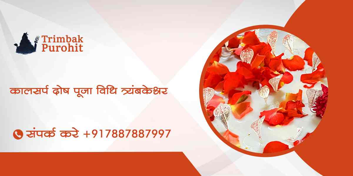 कालसर्प दोष पूजा विधि त्र्यंबकेश्वर