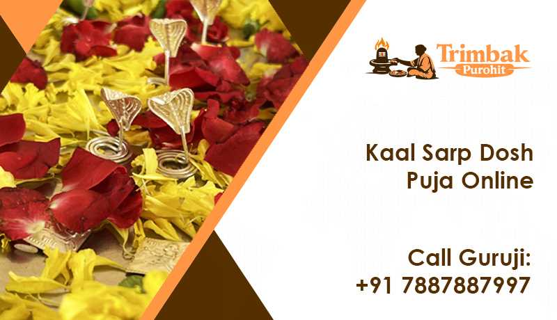 Kaal Sarp Dosh Puja Online