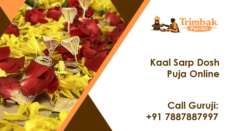Kaal Sarp Dosh Puja Online