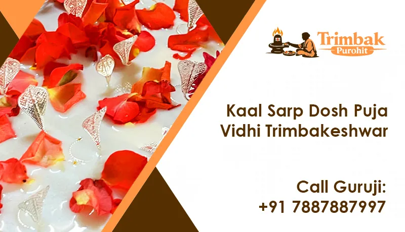 Kaal Sarp Dosh Puja Vidhi Trimbakeshwar