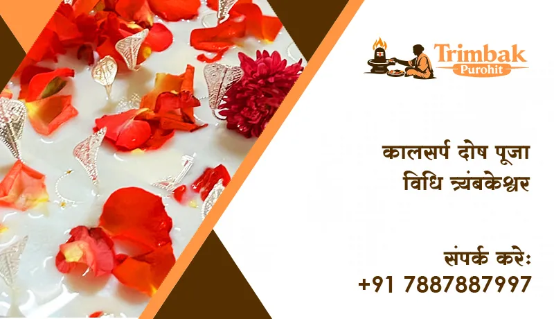 कालसर्प दोष पूजा विधि त्र्यंबकेश्वर