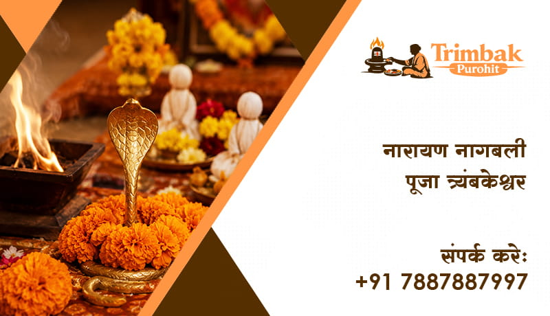 नारायण नागबली पूजा त्र्यंबकेश्वर