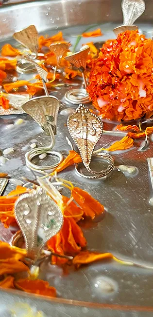 kalsarp puja